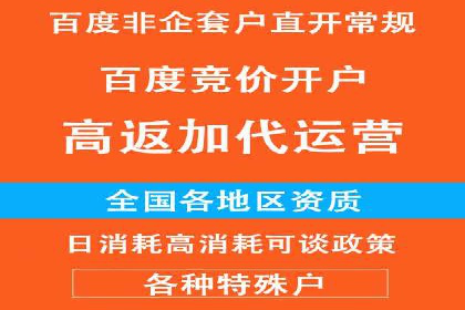 揭秘百度竞价排名：实战案例解析